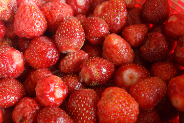 Freshly picked strawberries. Closeup for background
