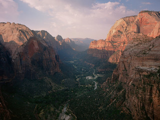 Naklejka premium Zion national park