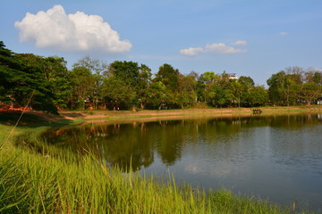 Lake side at the park