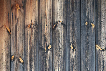 Wood texture. Background old vertical board. Cracked Knotted Coarse