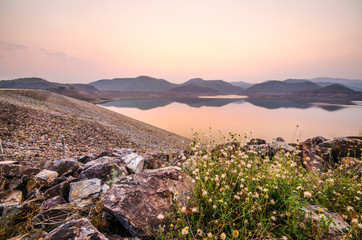 Flower of glass blooming near rock