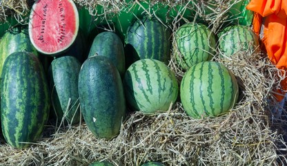 Watermelons for sale