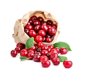 Berries ripe cherry on a white background.