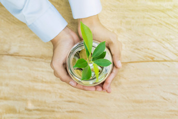Young plant growing from money (coins) in the glass jar held by  woman hands