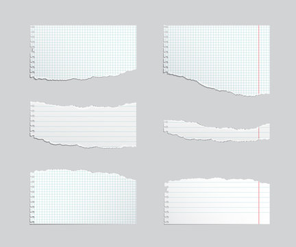 Torn copybook sheet set. Vector illustration.