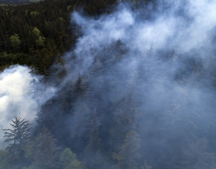 Aerial of smoke in forest