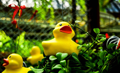 Yellow duck decoration in the garden