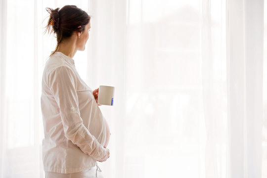 Portrait of young pregnant attractive woman, standing by the window,