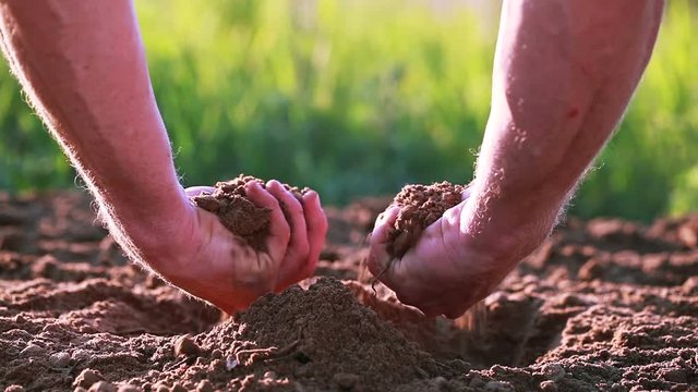 Hand of man farmer  rumple arable land , dirt. Close up. Protect nature 