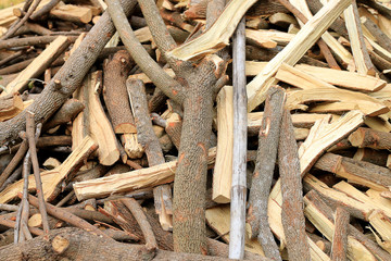 Much Plenty of firewood for the fireplace in a pile, Lumber from tamarind tree.