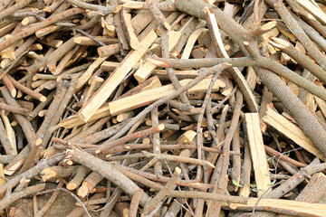 Much Plenty of firewood for the fireplace in a pile, Lumber from tamarind tree.