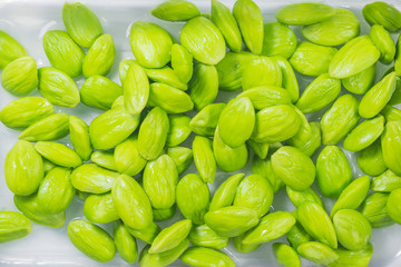 Parkia speciosa seed