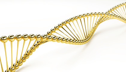 DNA golden model