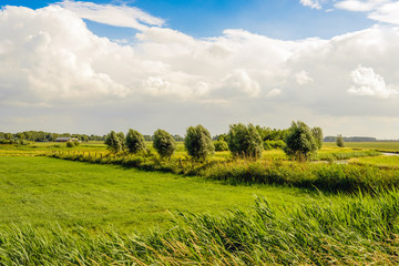 Rural landscape and a cloudy sky