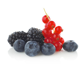 Forest fruits on white