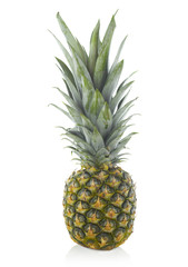 Pineapple on white