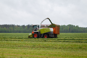 Harvester collects dry grass to the truck in a field full of green grass. Truck collects grass clippings, which cuts the tractor driving by on the green field in the summer. Agricultural view