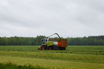 Harvester collects dry grass to the truck in a field full of green grass. Truck collects grass clippings, which cuts the tractor driving by on the green field in the summer. Agricultural view
