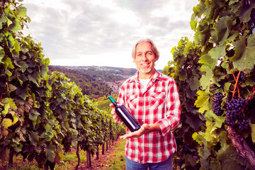 Winemaker Standing By His Vineyard