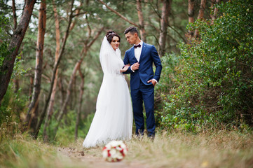 Beautiful young wedding couple admiring each other in a pine tree forest.