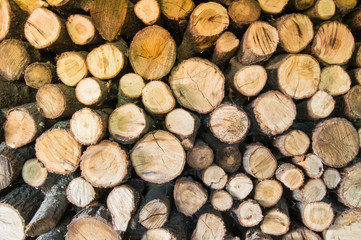 Round cut alder logs stacked in storage and ready for chopping lumberjack with axe on firewood for heating house in forest. Concept background for outdoor recreation, relaxing holiday in cottage