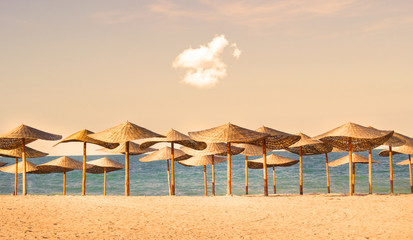 Straw umbrella rows on the sea shore