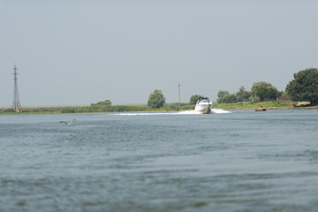 Boat on Danube river, Danube delta area, Romania, in a sunny summer day