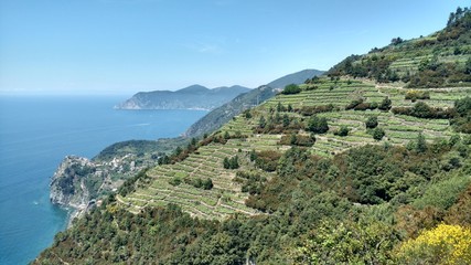 Winnice w górach i morze