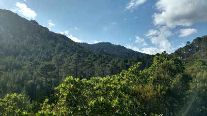 Krajobraz górski