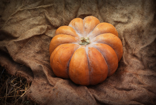 Pumpkin on the wrinkled sacking
