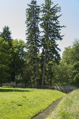 Fototapeta na wymiar Park of Baron von Brukenthal Palace in Avrig, Transylvania