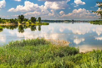 River Dnieper, bay, reeds, sedge, houses, trees, summer.