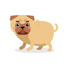 Funny cartoon pug dog character vector Illustration