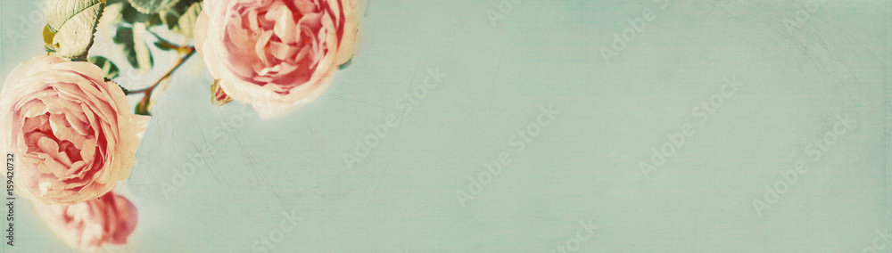Wall mural banner with vintage roses design - web header template - website design - simple background