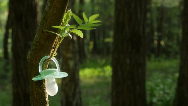 Dummies Hanging on Tree, closeup