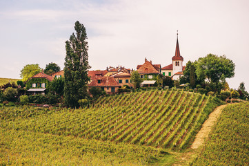 Small medieval town on the top of the hill between Lavaux vineyards, Switzerland