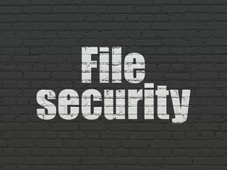 Fototapeta na wymiar Protection concept: File Security on wall background