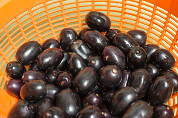 Syzygium cumini fruit in the orange basket