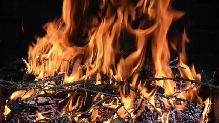 Seamless loop, close up of a fire with flames, small wood branches and pine cones - Video HD