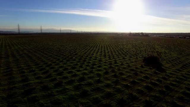 Panoramic aeral view over the landscape of borderless fields