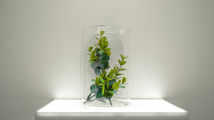 Green Plants In Transparent Vase