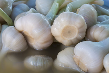 Garlic Pickle in The Brine