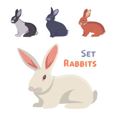 vector illustration of cartoon rabbits different breeds. Fine bunnys for veterinary design.