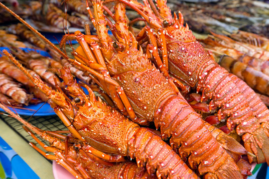 Close up of grilled lobster sold at Asian night market