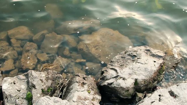 Calm Water With Stones , Water Washing Stones