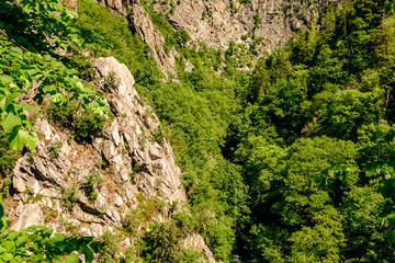 Bodetal Harz Sagenharz