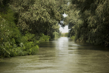 Fototapeta premium Channel landscape with waves in Danube Delta, Romania, on summer day