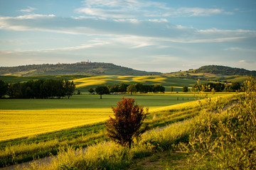 Fototapeta na wymiar Beautiful and miraculous colors of green spring panorama landscape of Tuscany, Italy.