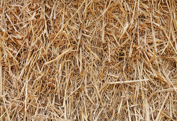 Close up of straw background texture.