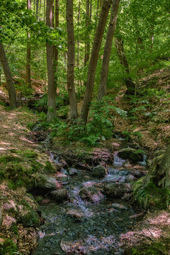 Bodetal Harz Sagenharz